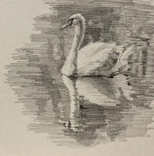 線を引くということ - 絵画教室 CHULAPO - 絵画教室 CHULAPO(チュラポ)